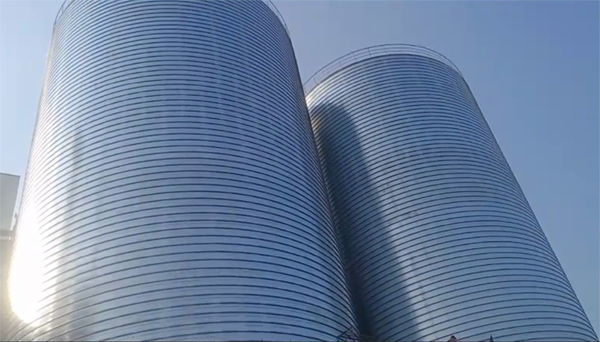 巴中2座混凝土高架卷板仓